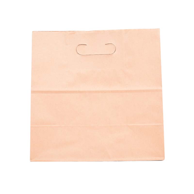 Hand-held kraft paper bags