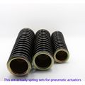 Springs for Industrial Valve Pneumatic Actuator Pneumatic