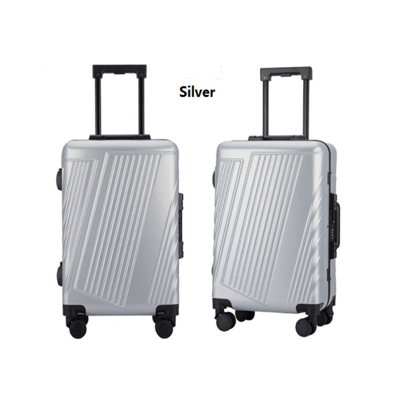 Silver pc luggage