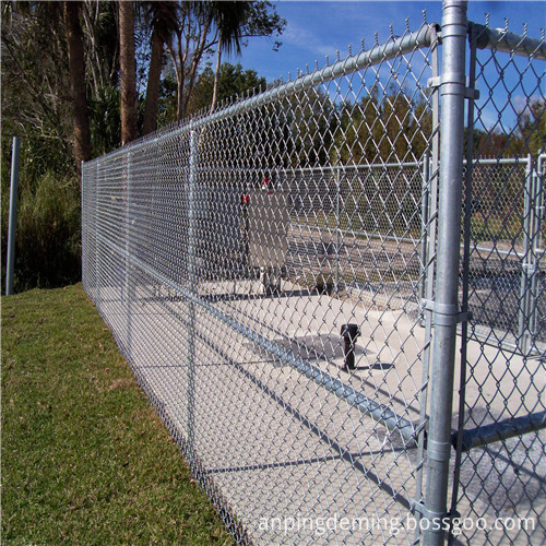 chain_link_fence