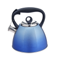 Quick heating induction whislte kettle new design