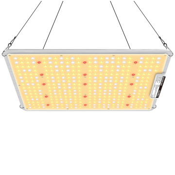 100W Square LED Grow Light