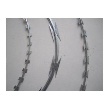 Sharp Galvanized Razor Barbed Wire (Factory)