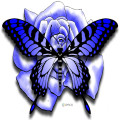 Sexy Adult Body Butterfly Tattoo Stickers