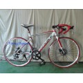 Beliebte Road Bike, Alloy 6061 Frame Racing Fahrräder (FP-RB-08)