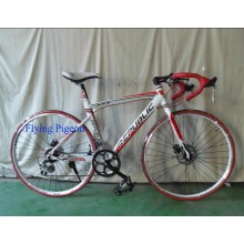 Popular Road Bike, Alloy 6061 Frame Racing Bicycles (FP-RB-08)