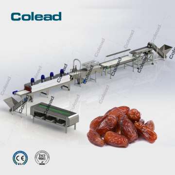 Palm Date processing machine