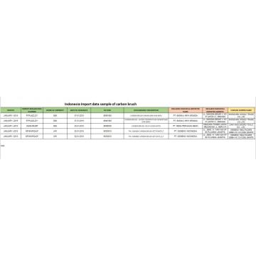 Escova de carbono de amostra de dados de importação da INDONÉSIA