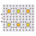 600W Cob LED Grow Light Panel Lampe einstellbar