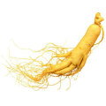 Ginseng-Extrakt, Ginsenoside, Panax Ginseng-Wurzel-Extrakt