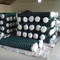 PVC Revestido Diamond Fence / Wire Mesh Fence