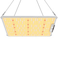 Best LED Grow Light for Greenhouses Agricultural