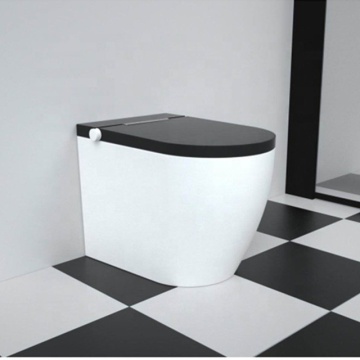 Smart Floor-Stand WC Ceramic Automatic Sensor Toilet