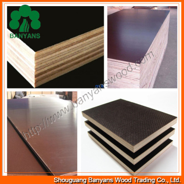 Waterproof Plywood Film Faced Plywood