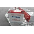 Koyama 12V170ah Tricycle / Batterie Rickshaw avec plaques tubulaires