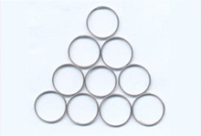 oil seal spring