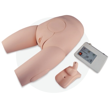 Monitoring Catheterization & Enema Model