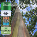 Tree Marker Spray Paint Wood Marker, Fluorescence Marking Spray Paint