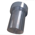 Hot Forging Parts Forged Steel Parts Forging Plant