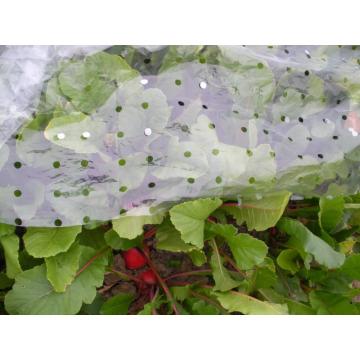 Защита для защиты заморозки садового мороза покрывает морозное одеяло