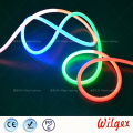 Neon rope LED flex light for garden decoration