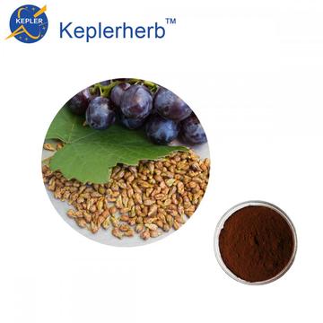 Grape seed extract 95% OPC