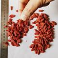 Top Quality Goji Berries