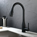 Black Stainless Steel Sink Faucet