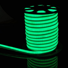 Tube flexible de néon de vert de 12V-24V LED