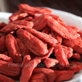 Musgo orgânico Wolfwi Organic Goji