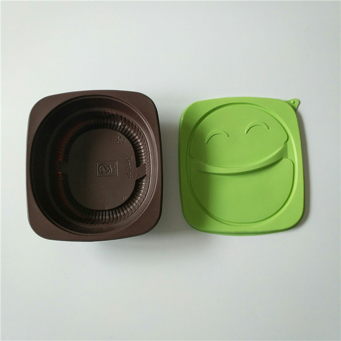 Plastic Lunch Takeaway Container