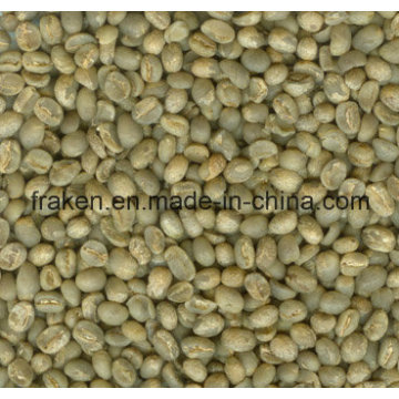 Extracto de grano verde de café de alta calidad de Chlorogenic Acid