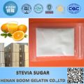 Stevia Zuckerpflanze