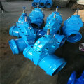 Socket Gate Valve, Nrs