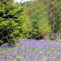 Cheap Rabbit Galvanized Hexagonal Wire Mesh