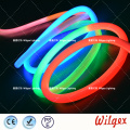 Neon rope LED flex light for garden decoration