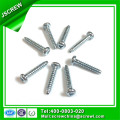 Trigonal Recess Pan Head Self Tapping Iron Screws