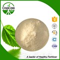 20-20-20 100% Water Soluble Fertilizer NPK 60%