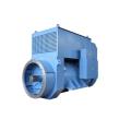 Low Voltage Electric Power IP55 Generator