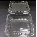 Plastic Blueberry Box for Fruit Supermarket