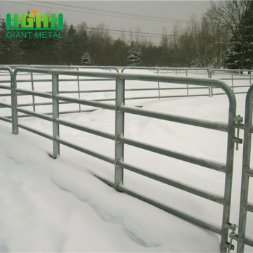 panel de valla de caballo de tubería galvanizada