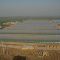 Landwirtschaft Tunnel PE Polytunnel Gewächshaus zu verkaufen