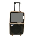 Rechargeable Trolley Speaker with screen and Mic