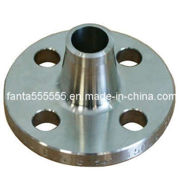 Carbon Steel Pipe Fitting Flang (IFEC-FL100001)