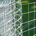 Welded Wire Fence Galvanized Against Rust