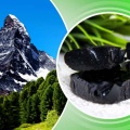 Natürliche reine Fulvinsäure 10% -50% Shilajit-Extraktpulver