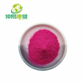 Pigmento alimentario Natural congelado rosa seca pitaya polvo