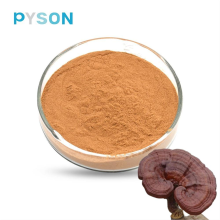 Reishi Mushroom Extract 50% UV Fruit