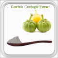 Best price hydroxy citric acid garcinia cambogia extract