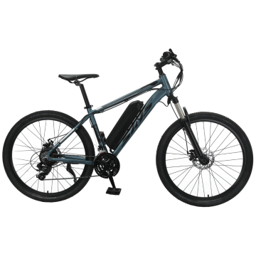 TW-9 26inch Electric Bicycle MTB MEN